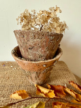 Load image into Gallery viewer, French Sap Resin Pots