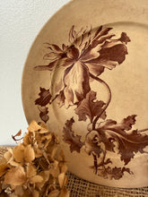Load image into Gallery viewer, Beautiful Stained Gien Transferware Plate
