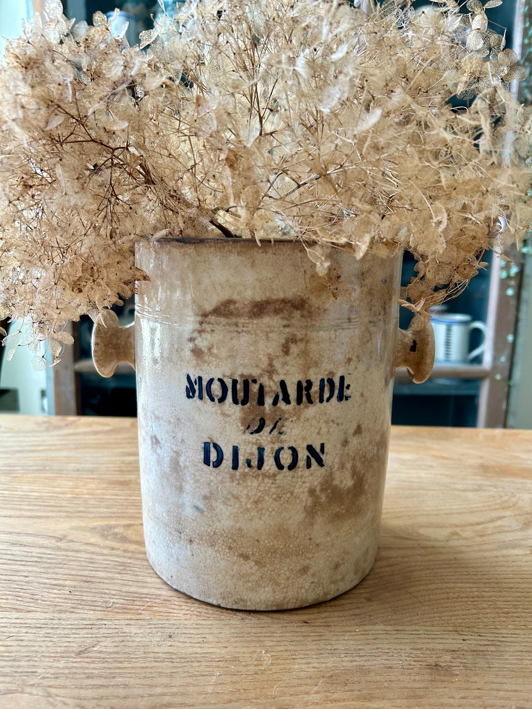 Rare Ironstone Huge Moutarde de Dijon Pot