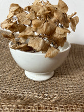 Load image into Gallery viewer, French White Cafe au Lait
