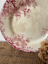 Load image into Gallery viewer, Beautiful Fleurs D’automme Pink Buttery Plates
