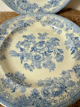 Load image into Gallery viewer, Gentle Blue Antique Asiatic Pheasant Plates
