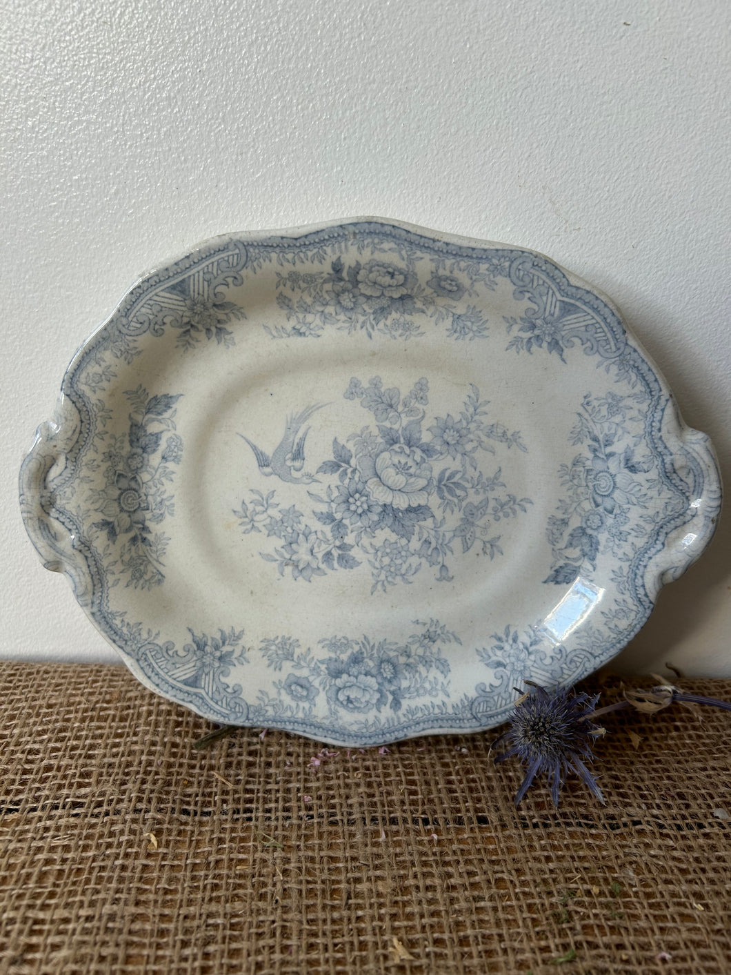 Blue and White Asiatic Pheasant Dish