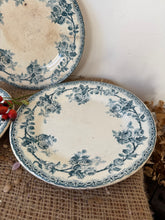 Load image into Gallery viewer, Pretty Dog Rose Floral Plates
