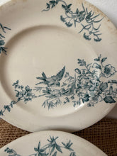 Load image into Gallery viewer, Pretty Bluey Green Floral Bird Ironstone Plates
