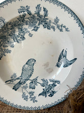 Load image into Gallery viewer, French Bird Floral Transferware Dish
