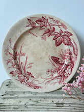 Load image into Gallery viewer, Stunning Pink Buttery Transferware Compote
