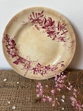 Load image into Gallery viewer, Beautiful Pink Buttery Ironstone Bird Plate
