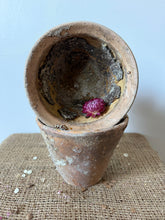 Load image into Gallery viewer, French Resin Sap Pots
