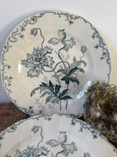 Load image into Gallery viewer, Delicate Pavots Green Transfeware Ironstone Plates
