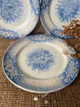 Load image into Gallery viewer, Pretty Blue French Sarreguimes Jardiniere Plates
