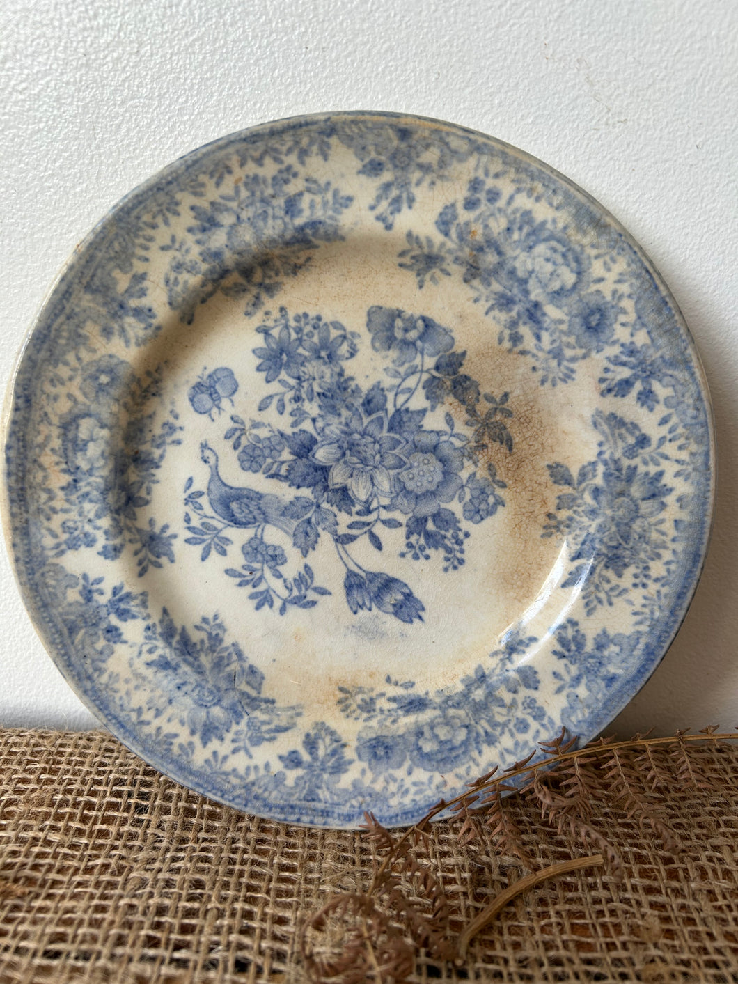 Beautifully Buttery Asiastic Pheasant Vintage Plate