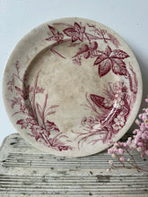 Load image into Gallery viewer, Stunning Pink Buttery Transferware Compote
