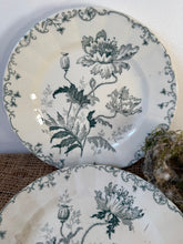 Load image into Gallery viewer, Pretty French Green Transferware Poppy Plates
