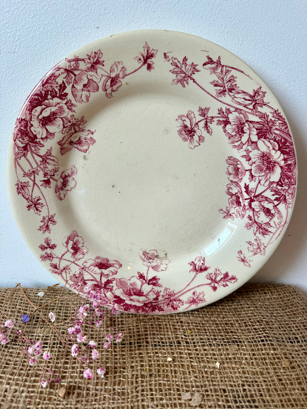 Lovely French Pink Anemone Ironstone Plate