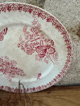 Load image into Gallery viewer, Buttery and Crazed Pink Ironstone Plate
