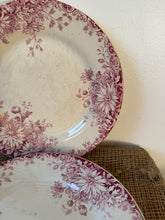Load image into Gallery viewer, French Fleurs D’Automn Pink Transferware Plates
