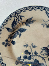 Load image into Gallery viewer, French Transferware Ironstone Plate
