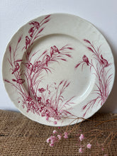Load image into Gallery viewer, Beautiful Crazed French Pink Transferware Birds Plate
