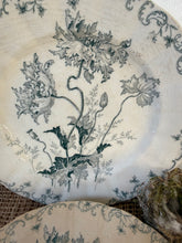 Load image into Gallery viewer, Lovely French Poppy Ironstone Plates
