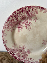 Load image into Gallery viewer, Beautiful Fleurs D’automme Pink Buttery Plates
