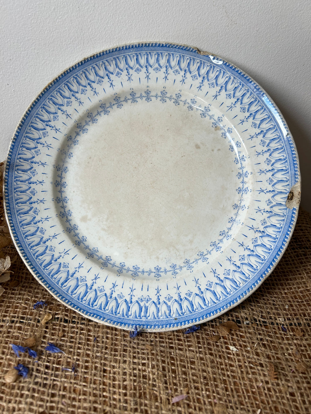 Gentle Blue French Compote