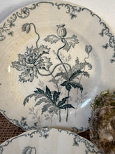 Load image into Gallery viewer, Delicate Pavots Green Transfeware Ironstone Plates
