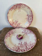 Load image into Gallery viewer, French Fleurs D’Automn Pink Transferware Plates
