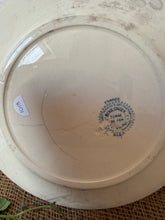 Load image into Gallery viewer, Pretty French Vintage Rose Plate
