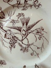 Load image into Gallery viewer, Large Neutral Transferware Platter
