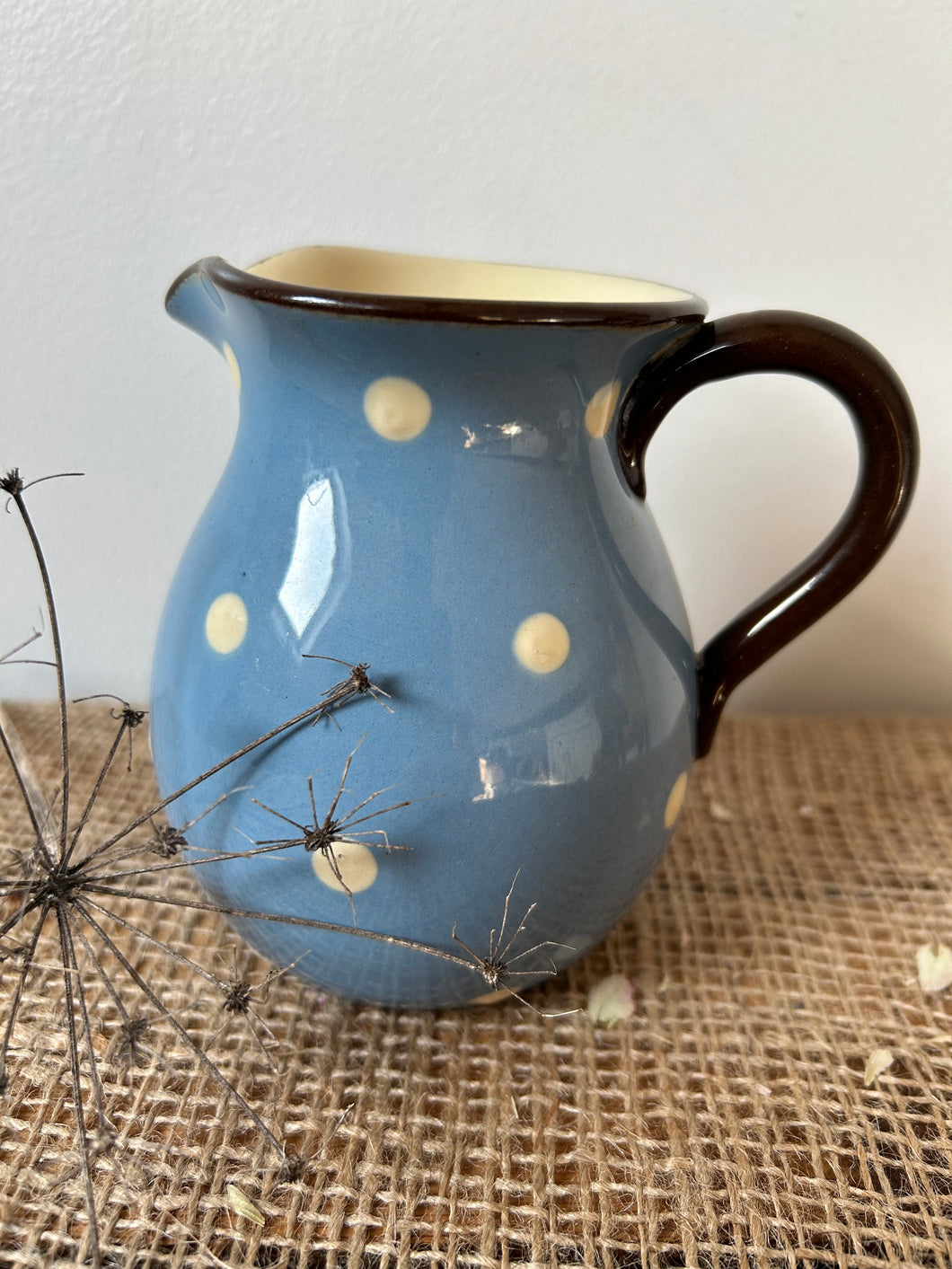 Cute Blue Spotty Jug