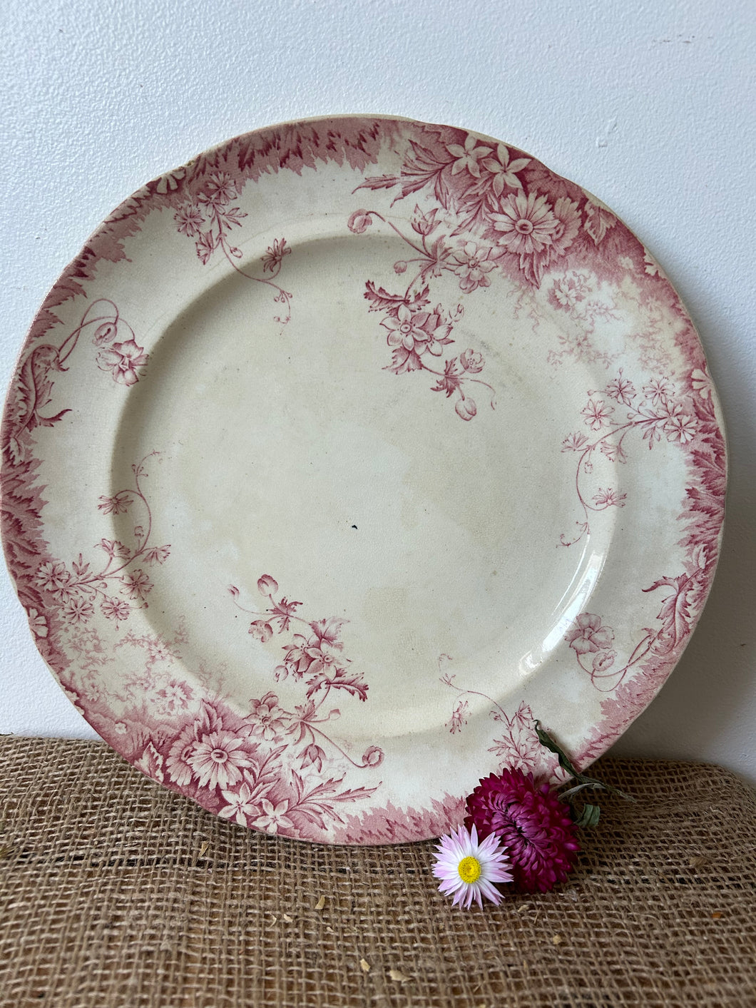 Beautiful Pink Ironstone Plate