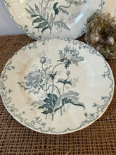 Load image into Gallery viewer, Pretty French Green Transferware Poppy Plates
