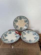 Load image into Gallery viewer, Pretty Dog Rose Floral Plates

