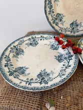 Load image into Gallery viewer, Pretty Dog Rose Floral Plates
