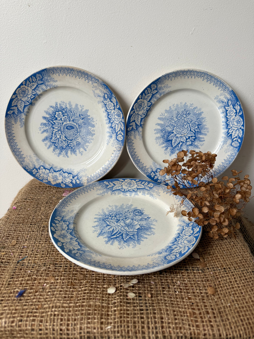 Pretty Blue French Sarreguimes Jardiniere Plates