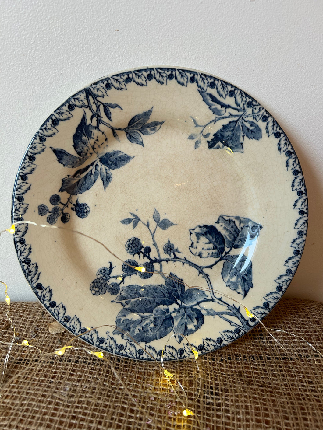 French Transferware Ironstone Plate