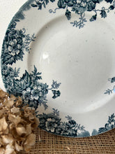 Load image into Gallery viewer, French Marie Louise Ironstone Plate
