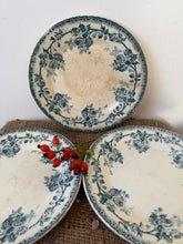 Load image into Gallery viewer, Pretty Dog Rose Floral Plates
