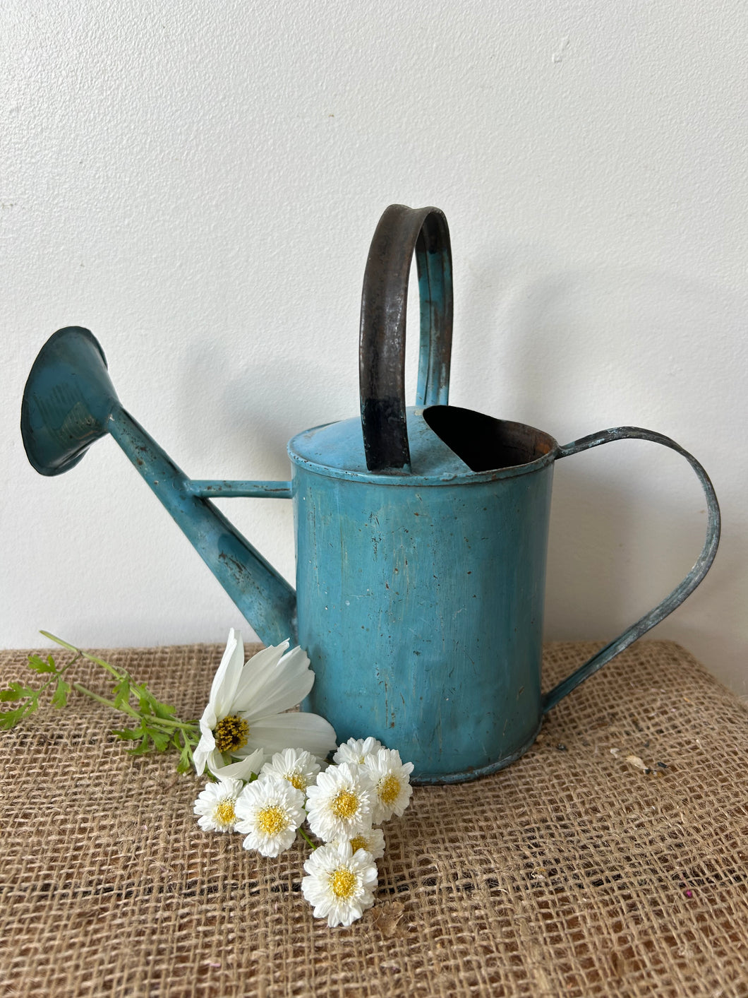 Cute Blue Vintage  Watering Can