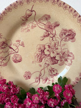 Load image into Gallery viewer, French Buttery Pink Transferware Plate
