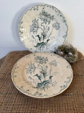 Load image into Gallery viewer, Lovely French Poppy Ironstone Plates
