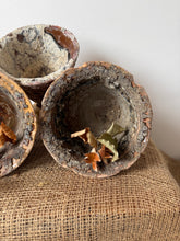 Load image into Gallery viewer, Sappiest of French Sap Pots
