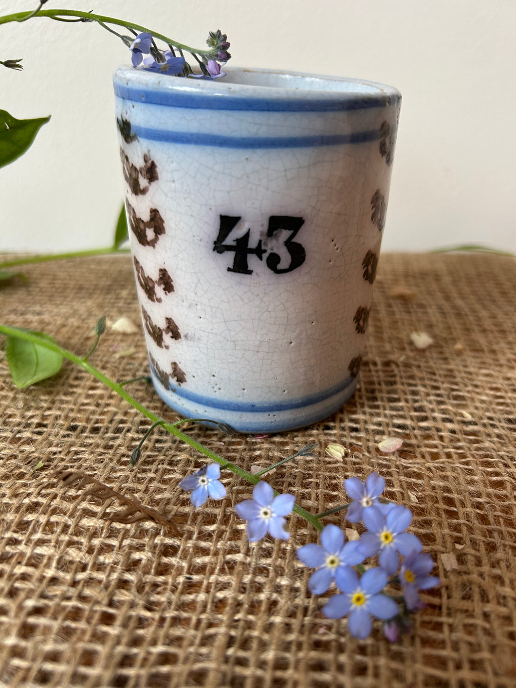 French #43 Archers Mug