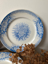 Load image into Gallery viewer, Pretty Blue French Sarreguimes Jardiniere Plates
