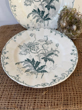 Load image into Gallery viewer, Delicate Pavots Green Transfeware Ironstone Plates
