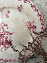 Load image into Gallery viewer, French Pink Ironstone ‘Chardons’ Extra Large Plate
