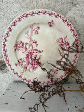 Load image into Gallery viewer, French Pink Ironstone ‘Chardons’ Extra Large Plate
