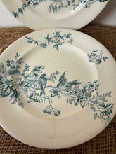 Load image into Gallery viewer, Pretty Bluey Green Floral Bird Ironstone Plates
