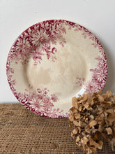 Load image into Gallery viewer, Beautiful Fleurs D’automme Pink Buttery Plates
